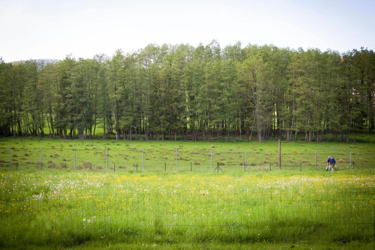 Gite Du Cerf Birkenwald Ngoại thất bức ảnh