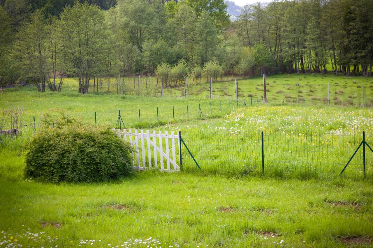 Gite Du Cerf Birkenwald Ngoại thất bức ảnh